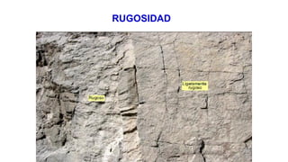 RUGOSIDAD
 