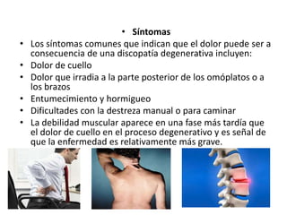 • Síntomas
• Los síntomas comunes que indican que el dolor puede ser a
consecuencia de una discopatía degenerativa incluyen:
• Dolor de cuello
• Dolor que irradia a la parte posterior de los omóplatos o a
los brazos
• Entumecimiento y hormigueo
• Dificultades con la destreza manual o para caminar
• La debilidad muscular aparece en una fase más tardía que
el dolor de cuello en el proceso degenerativo y es señal de
que la enfermedad es relativamente más grave.
 