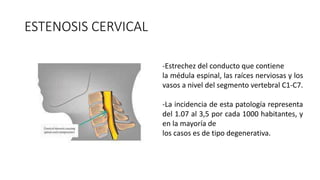 ESTENOSIS CERVICAL
-Estrechez del conducto que contiene
la médula espinal, las raíces nerviosas y los
vasos a nivel del segmento vertebral C1-C7.
-La incidencia de esta patología representa
del 1.07 al 3,5 por cada 1000 habitantes, y
en la mayoría de
los casos es de tipo degenerativa.
 