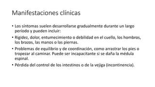 Manifestaciones clínicas
• Los síntomas suelen desarrollarse gradualmente durante un largo
período y pueden incluir:
• Rigidez, dolor, entumecimiento o debilidad en el cuello, los hombros,
los brazos, las manos o las piernas.
• Problemas de equilibrio y de coordinación, como arrastrar los pies o
tropezar al caminar. Puede ser incapacitante si se daña la médula
espinal.
• Pérdida del control de los intestinos o de la vejiga (incontinencia).
 