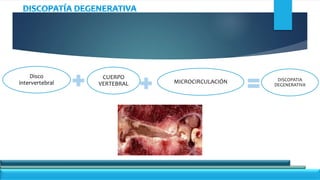 discopatia degenerativa carlos.pptx