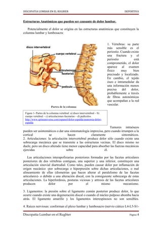 DISCOPATIA LUMBAR EN EL RUGBIER                                                        DEPORTIVA


Estructuras Anatómicas que pueden ser causante de dolor lumbar.

   Potencialmente el dolor se origina en las estructuras anatómicas que constituyen la
columna lumbar y lumbosacra:


                                                                          1. Vértebras: su parte
                                                                          más sensible es el
                                                                          periostio. Cuando existe
                                                                          una fractura y el
                                                                          periostio           está
                                                                          comprometido, el dolor
                                                                          aparece al examen
                                                                          físico     muy     bien
                                                                          precisado y localizado.
                                                                          En cambio, el tejido
                                                                          óseo e intramedular da
                                                                          una información menos
                                                                          precisa     del   dolor,
                                                                          probablemente a través
                                                                          de fibras autonómicas
                                                                          que acompañan a la red
                                                                          vascular.

 Figura 1- Partes de la columna vertebral: a) disco intervertebral – b)
 cuerpo vertebral – c) articulaciones facetarías – d) pedículos.
 http://www.spineuniverse.com/espanol/dolor-espalda/anatomia-dolor-
 espalda
                                                                  Tumores intraóseos
pueden ser asintomáticos o dar una sintomatología imprecisa, pero cuando irrumpen a la
cortical            se             hacen             claramente            sintomáticos.
2. Articulaciones: la articulación intervertebral produce dolor sólo cuando existe una
sobrecarga mecánica que se transmite a las estructuras vecinas. El disco mismo no
duele, pero un disco alterado tiene menor capacidad para absorber las fuerzas mecánicas
ejercidas                         sobre                       él.

    Las articulaciones interapofisiarias posteriores formadas por las facetas articulares
posteriores de dos vértebras contiguas, una superior y una inferior, constituyen una
articulación sinovial diartrodial. Como tales, pueden causar dolor por inflamación de
origen mecánico -por sobrecarga o hiperpresión sobre dichas articulaciones, o mal
alineamiento de ellas (dismetrías que hacen alterar el paralelismo de las facetas
articulares)- o debido a una alteración discal, con la consiguiente sobrecarga de estas
articulaciones. La hiperlordosis, posturas viciosas y artrosis de las facetas articulares
producen            dolor           por          el         mismo            mecanismo.

3. Ligamentos: la presión sobre el ligamento común posterior produce dolor, lo que
ocurre cuando existe una degeneración discal o cuando el núcleo pulposo abomba hacia
atrás. El ligamento amarillo y los ligamentos interespinosos no son sensibles.

4. Raíces nerviosas: conforman el plexo lumbar y lumbosacro (nervio ciático L4-L5-S1-

Discopatía Lumbar en el Rugbier                                                           Página 4
 