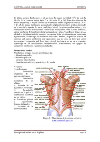 DISCOPATIA LUMBAR EN EL RUGBIER                                               DEPORTIVA




El último espacio lumbosacro es el que tiene la mayor movilidad: 75% de toda la
flexión de la columna lumbar (sólo 5 a 10% entre L1 y L4). Esto determina que la
mayor exigencia y la mayor cantidad de enfermedad lumbar se genera a nivel de L5-S1
y L4-L5. El ángulo lumbosacro es aquel entre el plano horizontal y el plano inclinado
de la superficie superior del sacro en el plano lateral. La quinta vertebra lumbar, y por
consiguiente el resto de la columna vertebral que se encuentra sobre el plano inclinado,
ejerce una fuerza deslizante cizallante hacia adelante y abajo. Cuando éste ángulo crece,
el declive del plano también aumenta, provocando dolor por distensión de estructuras
ligamentosas y sobrecarga de estructuras articulares. Además, en posición estática, el
aumento del ángulo condiciona una hiperlordosis que es causa de dolor por varios
mecanismos: compresión del disco intervertebral lumbosacro en su parte posterior,
sobrecarga en las articulaciones interapofisiarias, estrechamiento del agujero de
conjunción lumbosacro y compresión radicular.

Biomecánica lumbar
Una función correcta requiere coordinación de:
– Músculos espinales
– Músculos pélvicos
– La fascia tóraco-lumbar
– Los músculos anteriores y posteriores del muslo

• Flexión
1. Abdominales
2.          Contracción
excéntrica     de     los
erectores del raquis
3.          Contracción
isométrica de los
glúteos
4. Tensado de los
ligamentos posteriores
5.          Basculación
anterior de la pelvis +
contracción excéntrica
de los glúteos
6. Tensado de glúteos
e         isquiotibiales,
fijación de la pelvis
7. Inversión de la
lordosis lumbar



                                    Figura 3 – Musculatura de la comuna vertebral.
                                               www.rincondelvago.com




Discopatía Lumbar en el Rugbier                                                  Página 6
 