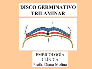 DISCO GERMINATIVO TRILAMINAR EMBRIOLOGÍA CLÍNICA Profa. Diana Molina 