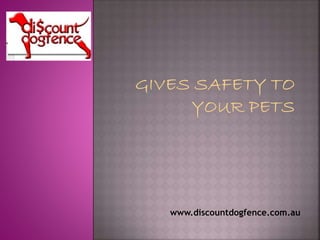 www.discountdogfence.com.au
 
