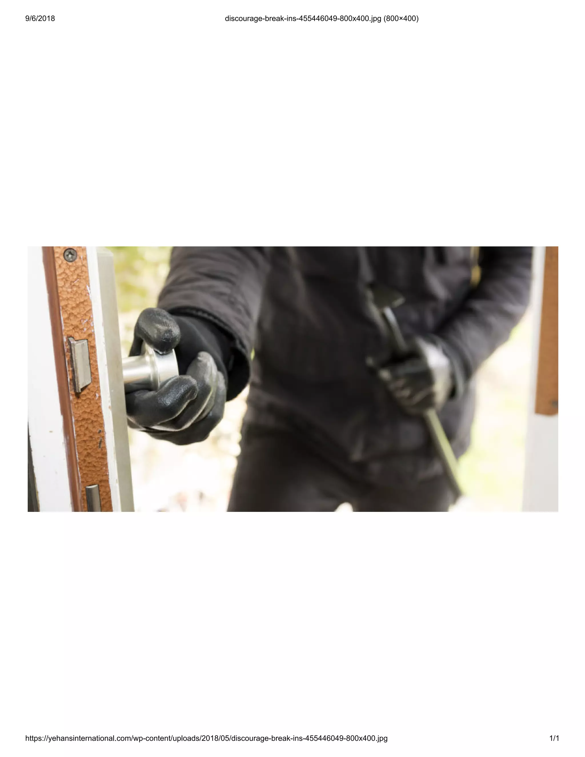 Bank robbery | PDF