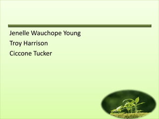 Jenelle Wauchope Young
Troy Harrison
Ciccone Tucker
 