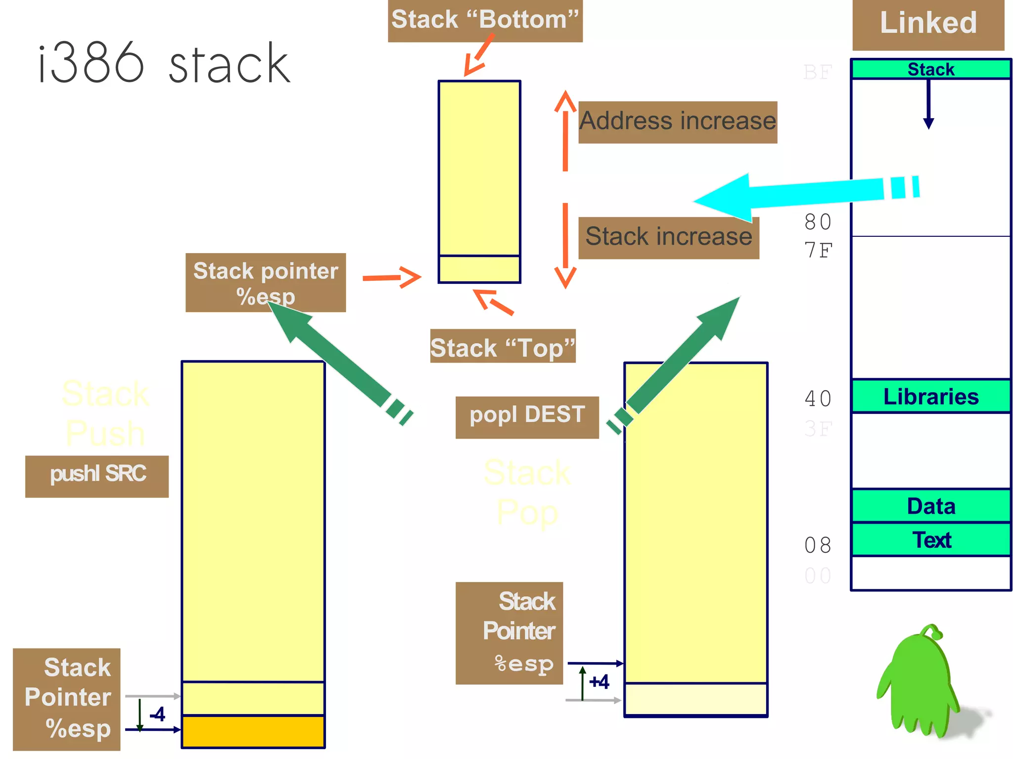 Stack “Bottom”                          Linked
i386 stack                                                            BF     Stack


                                                   Address increase


                                                                      80
                                                    Stack increase    7F
                   Stack pointer
                       %esp

                                     Stack “Top”
   Stack                                popl DEST
                                                                      40   Libraries
   Push                                                               3F
  pushl SRC                              Stack
                                          Pop                                Data
                                                                      08     Text
                                                                      00
                                          Stack
                                         Pointer
 Stack                                    %esp
                                                    +4
Pointer
              -4
 %esp
 