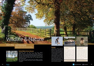 Discover Rutland 2014 visitor guide