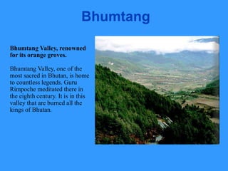Bhumtang
Bhumtang Valley, renowned
for its orange groves.
Bhumtang Valley, one of the
most sacred in Bhutan, is home
to countless legends. Guru
Rimpoche meditated there in
the eighth century. It is in this
valley that are burned all the
kings of Bhutan.
 