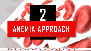 2
ANEMIA APPROACH
 