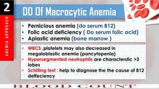 A
N
E
M
I
A
A
P
P
R
O
A
C
H
2 DD Of Macrocytic Anemia
• Pernicious anemia (do serum B12)
• Folic acid deficiency ( Do serum folic acid)
• Aplastic anemia (bone marrow )
• WBCS ,platelets may also decreased in
megaloblastic anemia (pancytopenia)
• Hypersegmented neutrophils are characterstic >3
lobes
• Schilling test : help to diagnose the the cause of B12
deffeciency
 