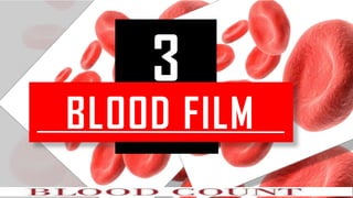 3
BLOOD FILM
 