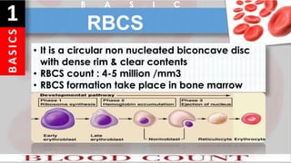 B
A
S
I
C
S
1 RBCS
• It is a circular non nucleated biconcave disc
with dense rim & clear contents
• RBCS count : 4-5 million /mm3
• RBCS formation take place in bone marrow
B A S I C
 