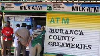 https://www.businessdailyafrica.
com/corporate/Cooperatives-Murang-a-deposits-Wa-Iria-farmers/539550-3888368-cwwosu/index.html
 