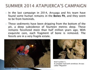  In the last campaign in 2014, Arsuaga and his team have 
found some human remains in the Bones Pit, and they seem 
to be from hominids. 
 These sediments have been dripping from the bottom of the 
pit, a deep subsidence of fourteen metres deep. These 
remains fossilized more than half million years ago. With 
exquisite care, each fragment of bone is removed. The 
fossils are in a very fragile estate. 
Arsuaga woriking 
Skull number 5. 
A complete skull with vertebrae. He was 
called “Miguelón” 
 