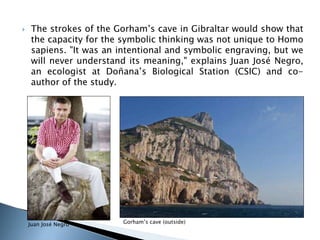  The strokes of the Gorham’s cave in Gibraltar would show that 
the capacity for the symbolic thinking was not unique to Homo 
sapiens. "It was an intentional and symbolic engraving, but we 
will never understand its meaning," explains Juan José Negro, 
an ecologist at Doñana’s Biological Station (CSIC) and co-author 
of the study. 
Juan José Negro Gorham’s cave (outside) 
 