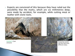  Experts are convinced of this because they have ruled out the 
possibility that the marks, which are six millimetres deep, 
were made by accident, for example, while cutting meat or 
leather with stone tools. 
Gorham’s Cave 
entrance 
Engraving carved 
into the rock from 
different views. 
 