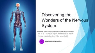 Discovering the
Wonders of the Nervous
System
Welcome to this 10th-grade class on the nervous system.
Join us on a journey to explore the intricacies of one of
the most important systems in the human body.
KS
ks
by kanchan sharma
 