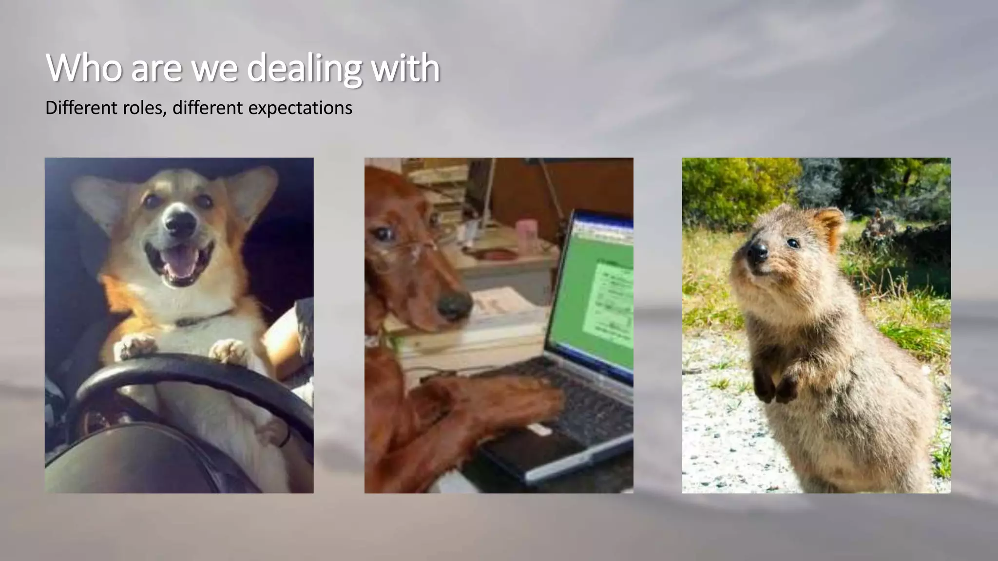 Who are we dealing with
Different roles, different expectations