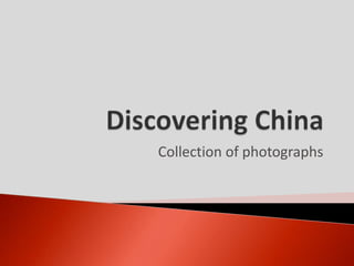 Collection of photographs
 
