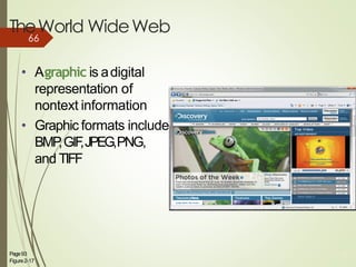 TheWorld WideWeb
• Agraphic is adigital
representation of
nontext information
• Graphic formats include
BMP,GIF,JPEG,PNG,
and TIFF
Page93
Figure2-17
25
66
 