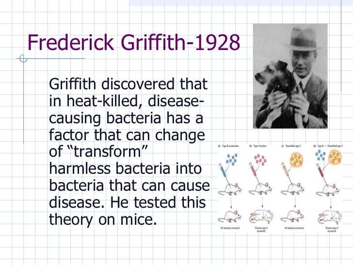 discovering-dna-timeline