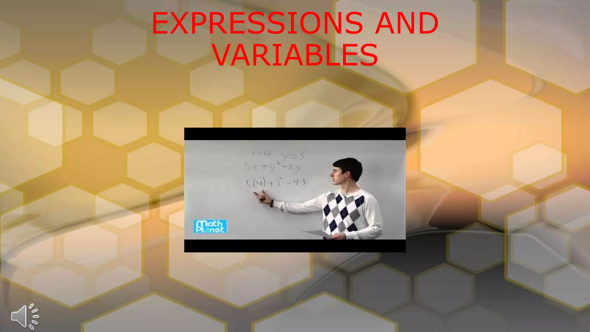 EXPRESSIONS AND
VARIABLES
 