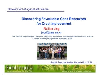 Development of Agricultural Science


              Discovering Favourable Gene Resources
                       for Crop Improvement
                                         Ruilian Jing
                                      jingrl@caas.net.cn
   The National Key Facility for Crop Gene Resources and Genetic Improvement/Institute of Crop Science
                              Chinese Academy of Agricultural Sciences (CAAS)




                                                 Specific Topic for Student Abroad • Oct. 20, 2011
 