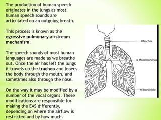 The production of human speech
originates in the lungs as most
human speech sounds are
articulated on an outgoing breath.
This process is known as the
egressive pulmonary airstream
mechanism.
The speech sounds of most human
languages are made as we breathe
out. Once the air has left the lungs
it travels up the trachea and leaves
the body through the mouth, and
sometimes also through the nose.
On the way it may be modified by a
number of the vocal organs. These
modifications are responsible for
making the EAS differently,
depending on where the airflow is
restricted and by how much.
 