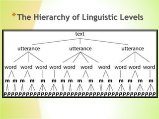 *The Hierarchy of Linguistic Levels
 