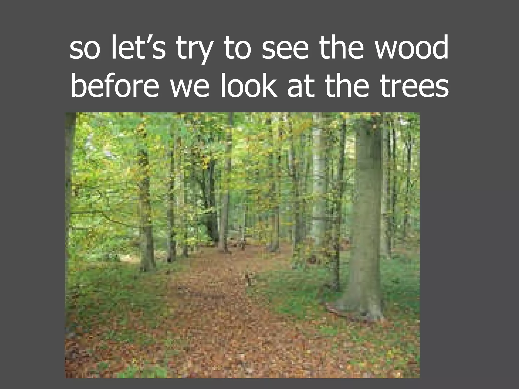 so let’s try to see the wood before we look at the trees 