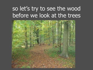 so let’s try to see the wood before we look at the trees 