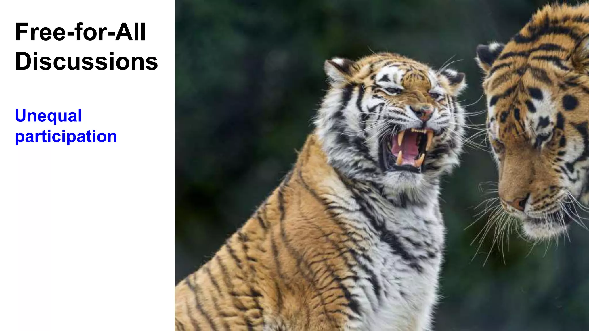 Free-for-All
Discussions
Unequal
participation
 