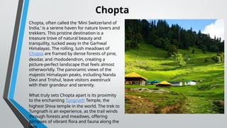Chopta, often called the ‘Mini Switzerland of
India,’ is a serene haven for nature lovers and
trekkers. This pristine destination is a
treasure trove of natural beauty and
tranquility, tucked away in the Garhwal
Himalayas. The rolling, lush meadows of
Chopta are framed by dense forests of pine,
deodar, and rhododendron, creating a
picture-perfect landscape that feels almost
otherworldly. The panoramic views of the
majestic Himalayan peaks, including Nanda
Devi and Trishul, leave visitors awestruck
with their grandeur and serenity.
What truly sets Chopta apart is its proximity
to the enchanting Tungnath Temple, the
highest Shiva temple in the world. The trek to
Tungnath is an experience, as the trail winds
through forests and meadows, offering
glimpses of vibrant flora and fauna along the
Chopta
 