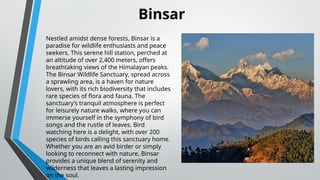 Binsar
Nestled amidst dense forests, Binsar is a
paradise for wildlife enthusiasts and peace
seekers. This serene hill station, perched at
an altitude of over 2,400 meters, offers
breathtaking views of the Himalayan peaks.
The Binsar Wildlife Sanctuary, spread across
a sprawling area, is a haven for nature
lovers, with its rich biodiversity that includes
rare species of flora and fauna. The
sanctuary’s tranquil atmosphere is perfect
for leisurely nature walks, where you can
immerse yourself in the symphony of bird
songs and the rustle of leaves. Bird
watching here is a delight, with over 200
species of birds calling this sanctuary home.
Whether you are an avid birder or simply
looking to reconnect with nature, Binsar
provides a unique blend of serenity and
wilderness that leaves a lasting impression
on the soul.
 
