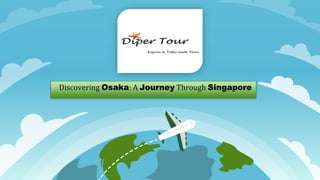 Discovering Osaka: A Journey Through Singapore
 