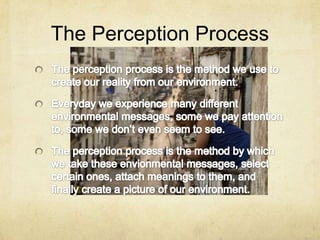 The Perception Process
 
