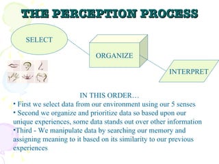 THE PERCEPTION PROCESS SELECT INTERPRET ORGANIZE IN THIS ORDER… First we select data from our environment using our 5 senses Second we organize and prioritize data so based upon our unique experiences, some data stands out over other information Third - We manipulate data by searching our memory and assigning meaning to it based on its similarity to our previous experiences 
