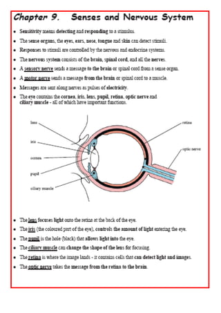 Discovering Science Revision For Jc Biology | DOC | Biological Sciences ...