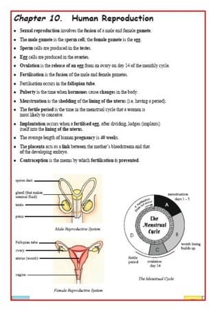 Discovering Science Revision For Jc Biology | DOC | Biological Sciences ...