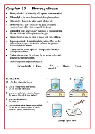 Discovering Science Revision For Jc Biology | DOC | Biological Sciences ...