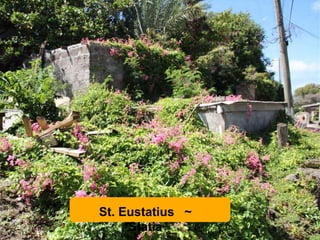 St. Eustatius ~
Statia
 