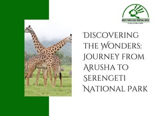 Discovering
the Wonders:
Journey from
Arusha to
Serengeti
National Park
 
