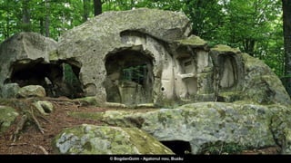 © BogdanGoim - Agatonul nou, Buzău
 