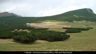 © AlexisRo – antrenament la înălțime (1950 m) - Piatra Arsă, Platoul Bucegi
 