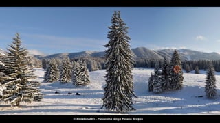 © FlinstoneRO - Panoramă lângă Poiana Brașov
 