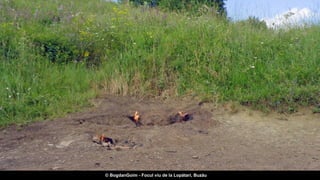 © BogdanGoim - Focul viu de la Lopătari, Buzău
 