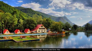 © Sylvester Nata - Pensiune, satul Cerna - Gorj
 