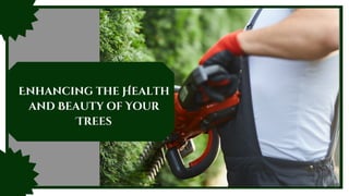 Enhancing the Health
and Beauty of Your
Trees
 
